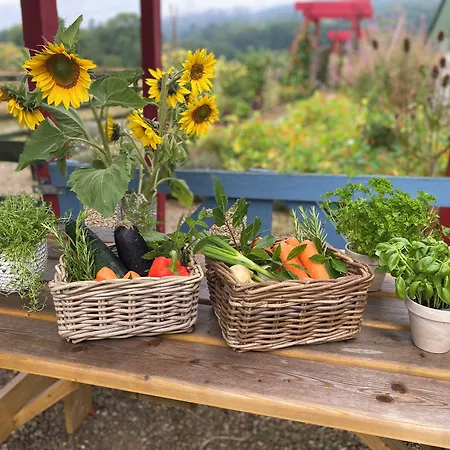 Ballyknocken House And Cookery School 4* Glenealy