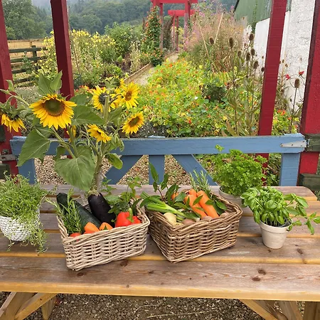 Ballyknocken House And Cookery School فندق