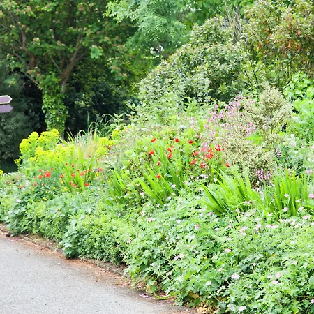 Ballyknocken House And Cookery School 4*