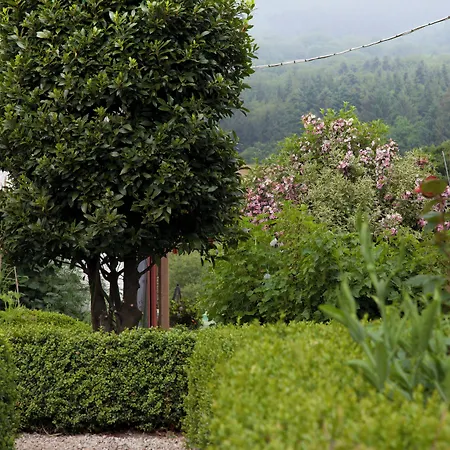 Ballyknocken House And Cookery School فندق Glenealy
