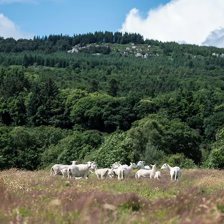 Otel Ballyknocken House And Cookery School