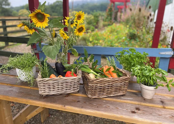 Ballyknocken House And Cookery School 4* Glenealy