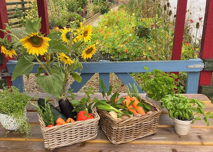 Ballyknocken House And Cookery School Hotel