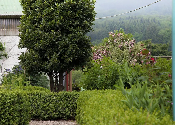 Ballyknocken House And Cookery School Hotel Glenealy