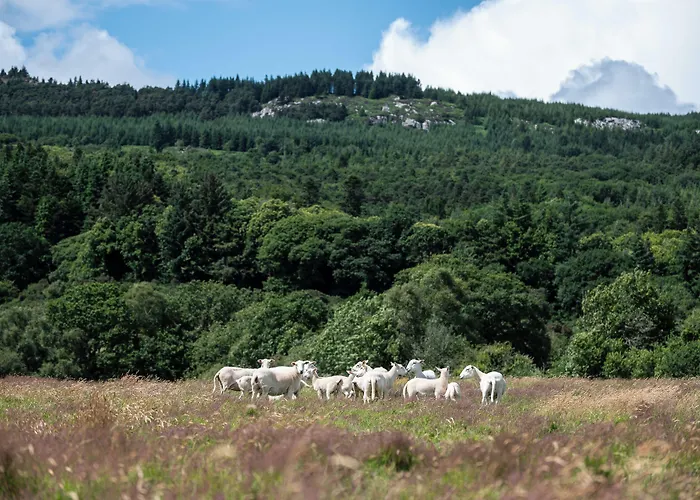 Hotel Ballyknocken House And Cookery School